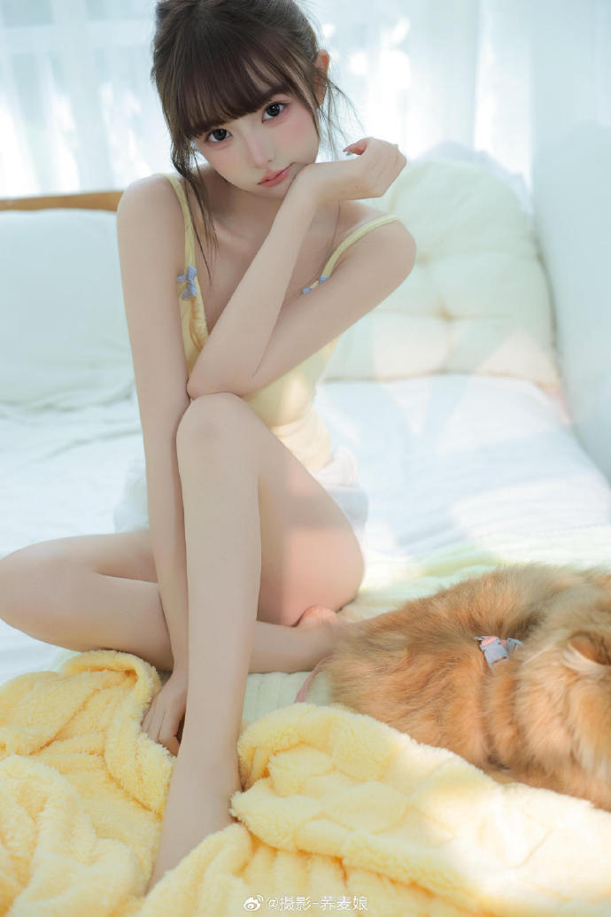 我的团长我的团 封面