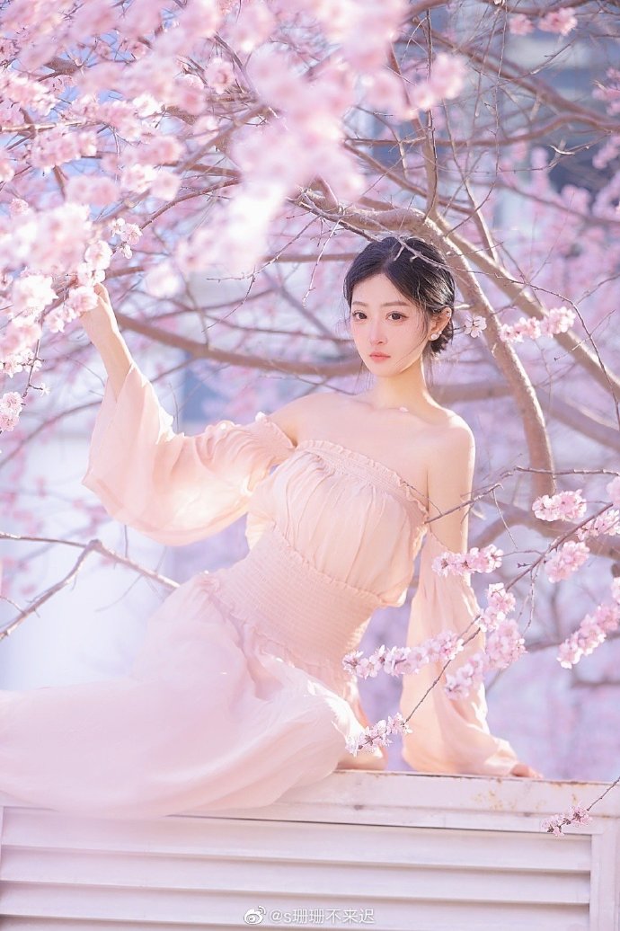 小森林 夏秋篇
